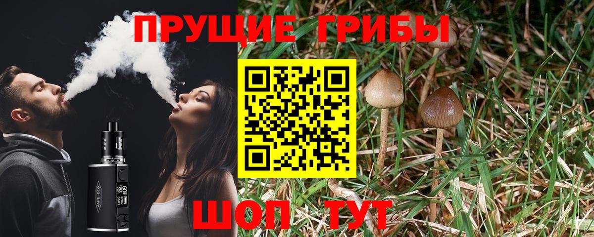 где найти   Галлюциногенные грибы Magic Shrooms  Воткинск  Вход с VPN  Псилоцибиновые грибы мухоморы 