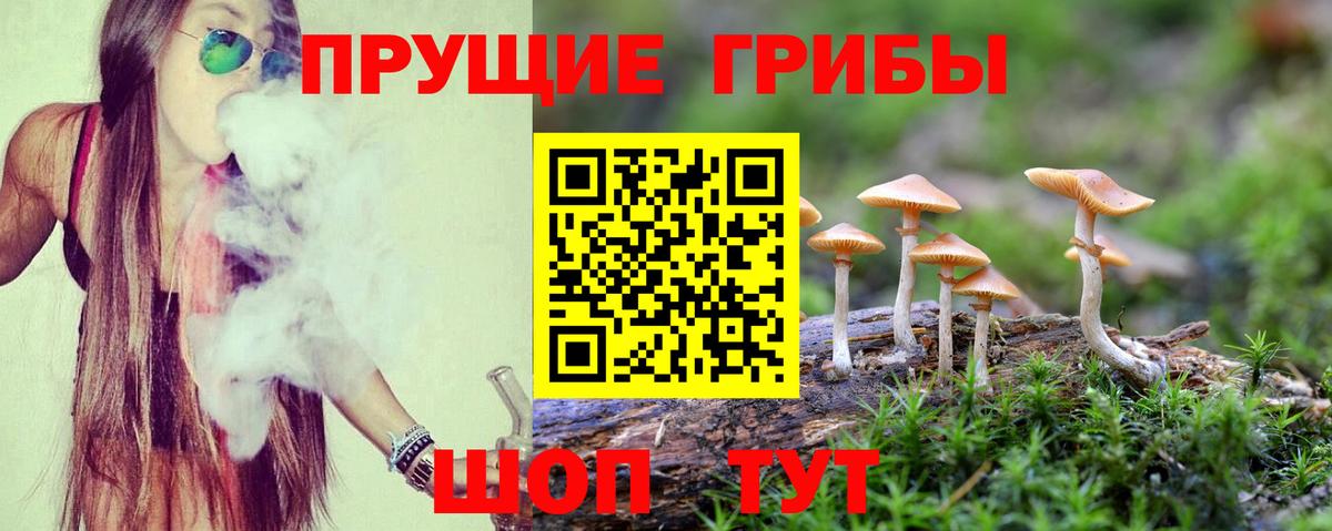 Галлюциногенные грибы Psilocybine cubensis Воткинск
